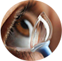 Scleral Lenses Icon